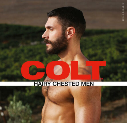 Hairy Chested Men | Gay Books & News