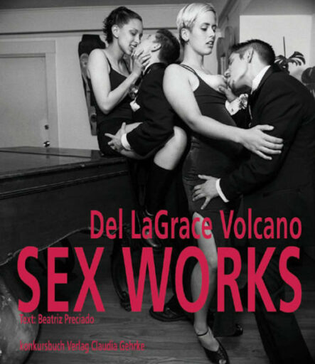 Sex Works | Gay Books & News