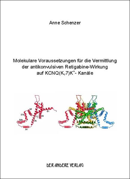 Molekulare Voraussetzungen für die Vermittlung der antikonvulsiven Retigabine-Wirkung auf KCNQ(Kv7)K+ Kanäle | Gay Books & News
