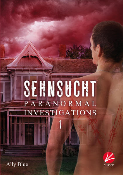 Paranormal Investigations 1: Sehnsucht | Gay Books & News