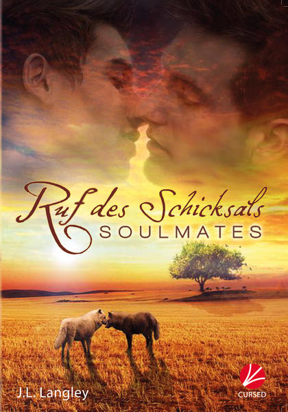 Soulmates: Ruf des Schicksals | Gay Books & News