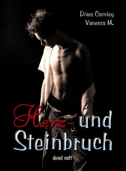 Herz- und Steinbruch | Gay Books & News