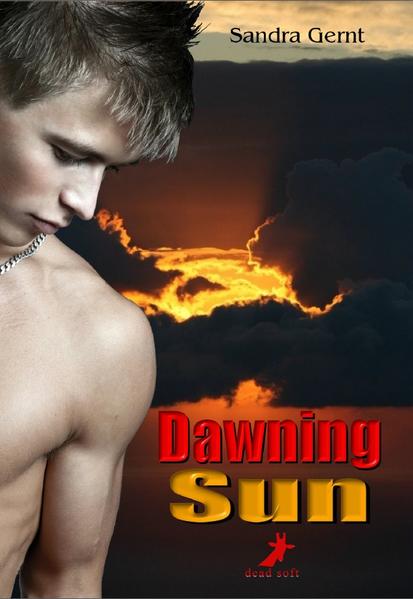 Dawning Sun | Gay Books & News