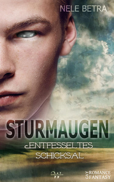 Sturmaugen | Gay Books & News