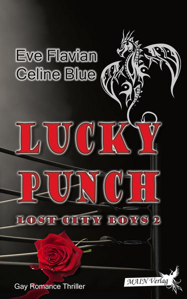 Lucky Punch | Gay Books & News