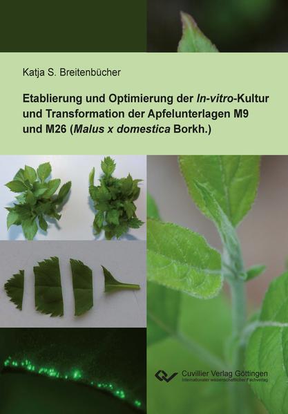 Etablierung und Optimierung der In-vitro-Kultur und Transformation der Apfelunterlagen M9 und M26 (Malus x domestica Borkh.) | Gay Books & News