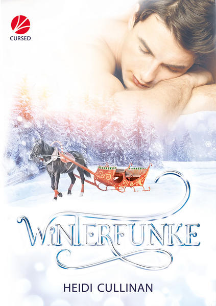 Winterfunke | Gay Books & News