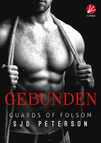 Guards of Folsom: Gebunden | Gay Books & News