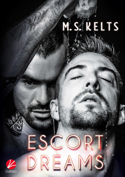 Escort Dreams | Gay Books & News