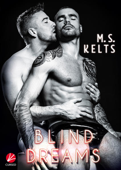 Blind Dreams | Gay Books & News