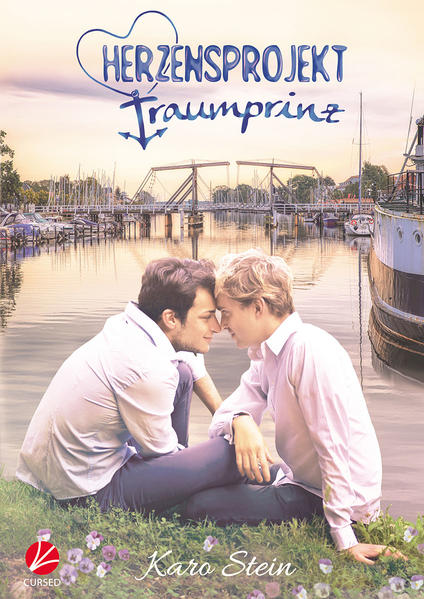 Herzensprojekt Traumprinz | Gay Books & News