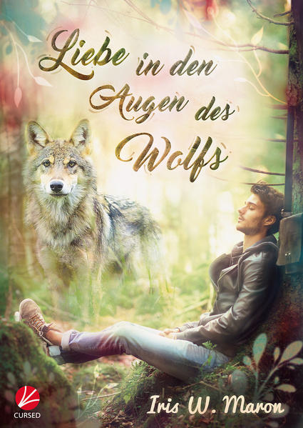 Liebe in den Augen des Wolfs | Gay Books & News