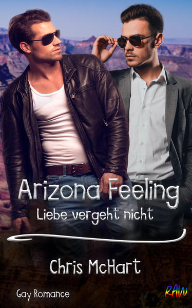 Arizona Feeling | Gay Books & News