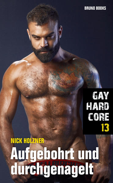 Gay Hardcore 13: Aufgebohrt und durchgenagelt | Gay Books & News