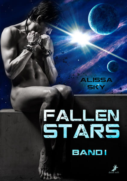 Fallen Stars | Gay Books & News