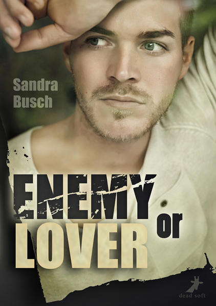 Enemy or Lover | Gay Books & News