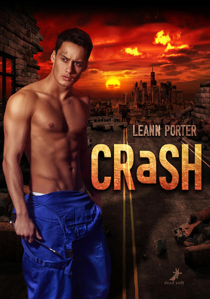 Crash | Gay Books & News