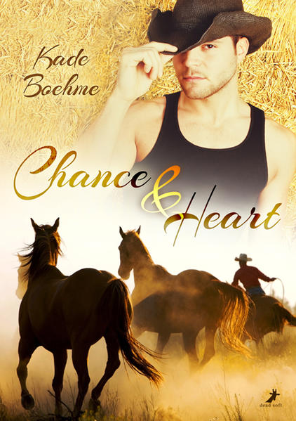 Chance and Heart | Gay Books & News