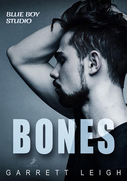 Blue Boy: Bones | Gay Books & News