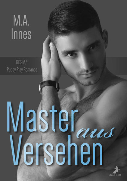 Master aus Versehen | Gay Books & News