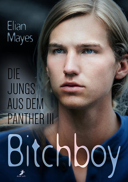 Die Jungs aus dem Panther 3: Bitchboy | Gay Books & News