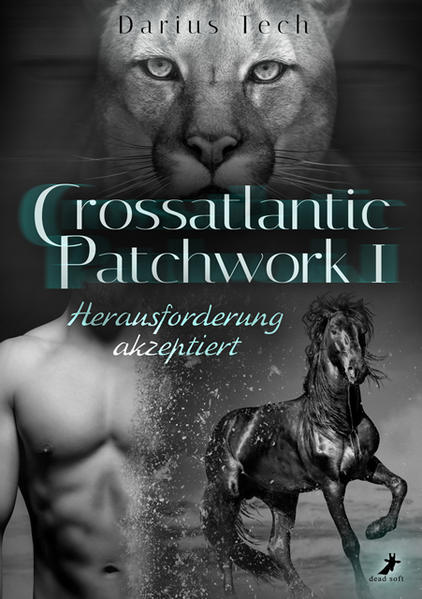 Crossatlantic Patchwork 1: Herausforderung akzeptiert | Gay Books & News