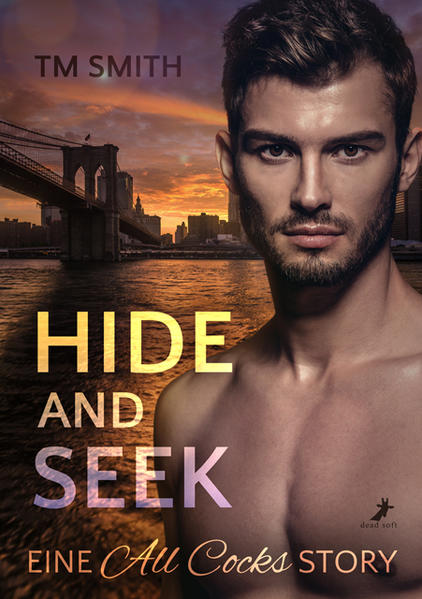 Hide and Seek | Gay Books & News