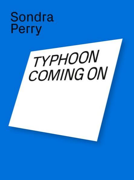 Sondra Perry. Typhoon coming on | Gay Books & News