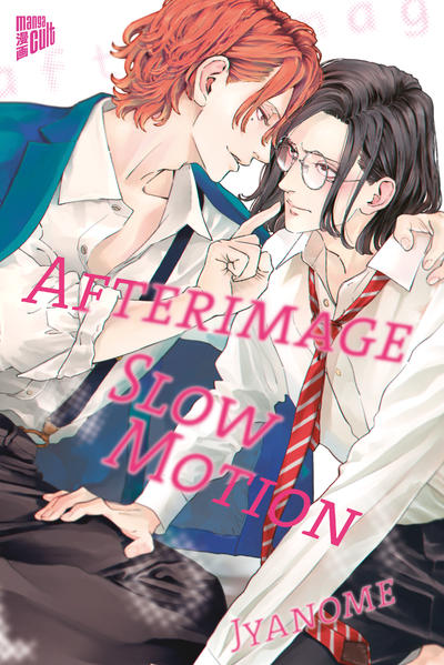 Afterimage Slow Motion | Gay Books & News
