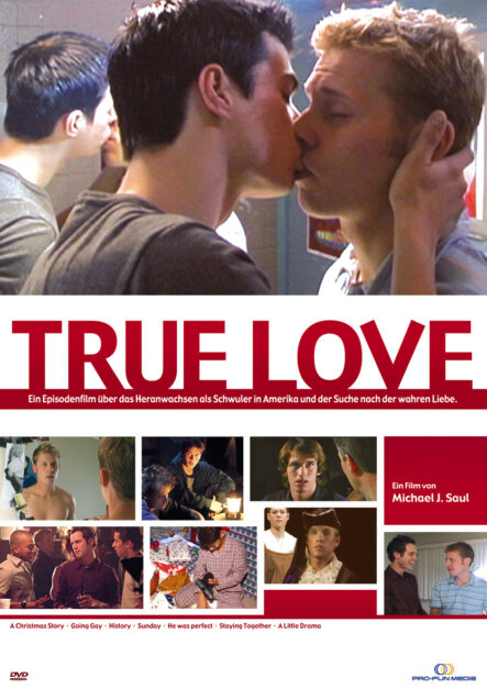 Ein Episodenfilm über das Heranwachsen als Schwuler in Amerika und der Suche nach der wahren Liebe.